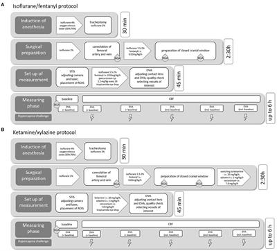 Opening a window to the acutely injured brain: Simultaneous retinal and cerebral vascular monitoring in rats